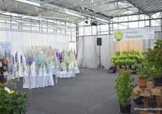 Natuurlijk waren er meer soorten bij Agriom gepresenteerd.